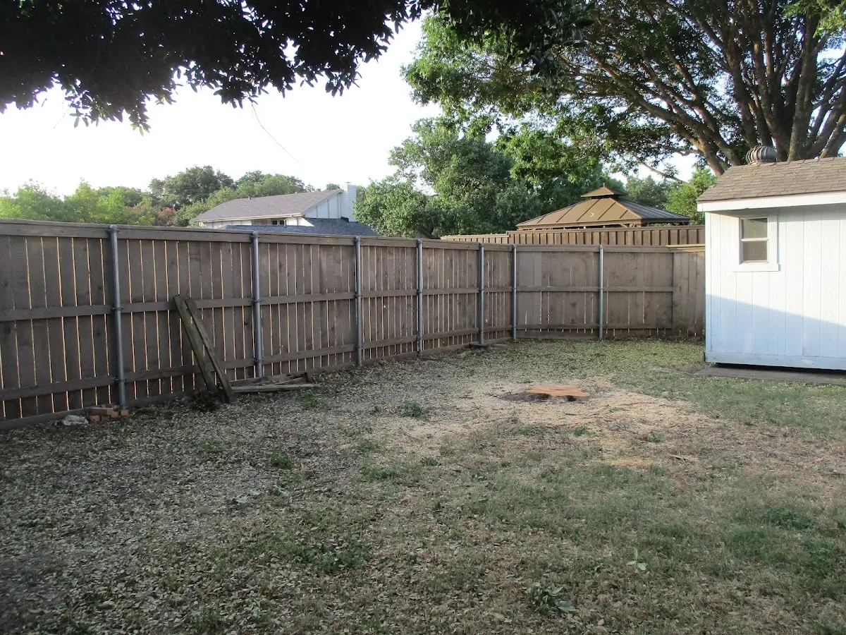 Cleared yard after professional tree removal in Shinnston